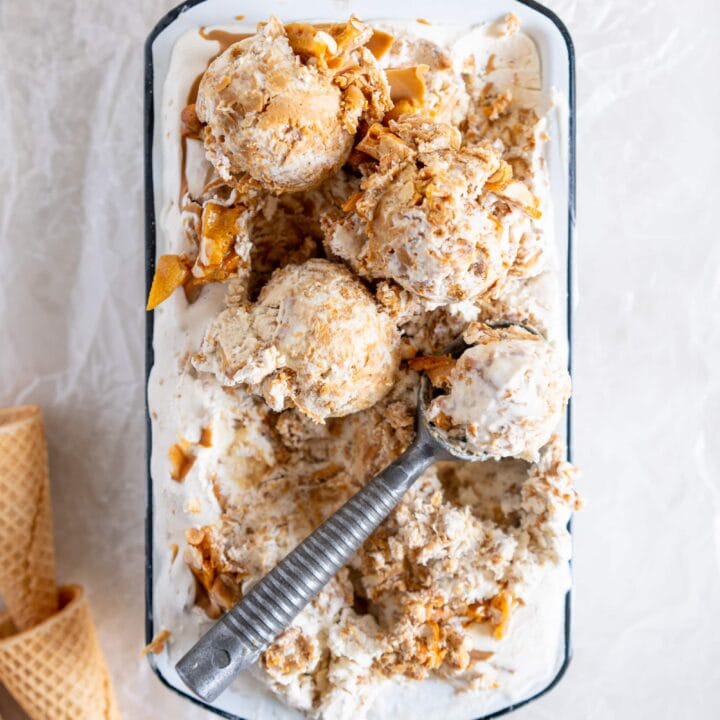 Peanut Butter Ripple Philadelphia Style Ice Cream with Peanut Brittle