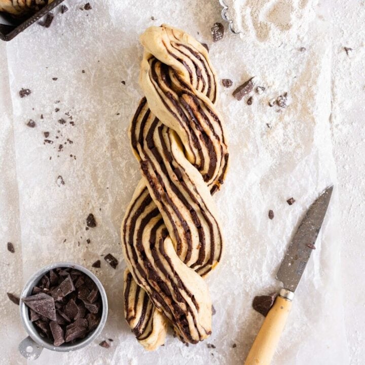 Espresso Chocolate Babka Cloudy Kitchen