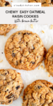 oatmeal raisin pin