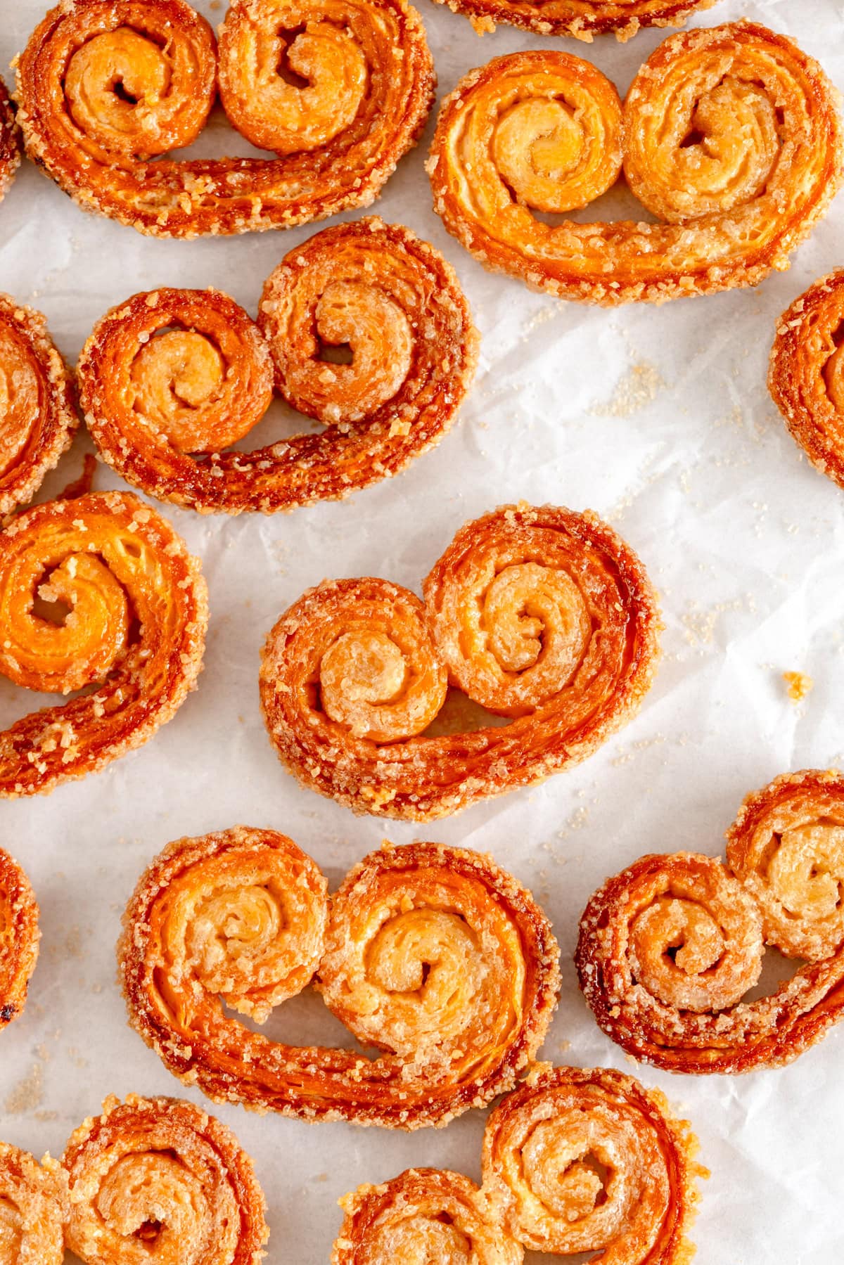 close up of baked palmiers