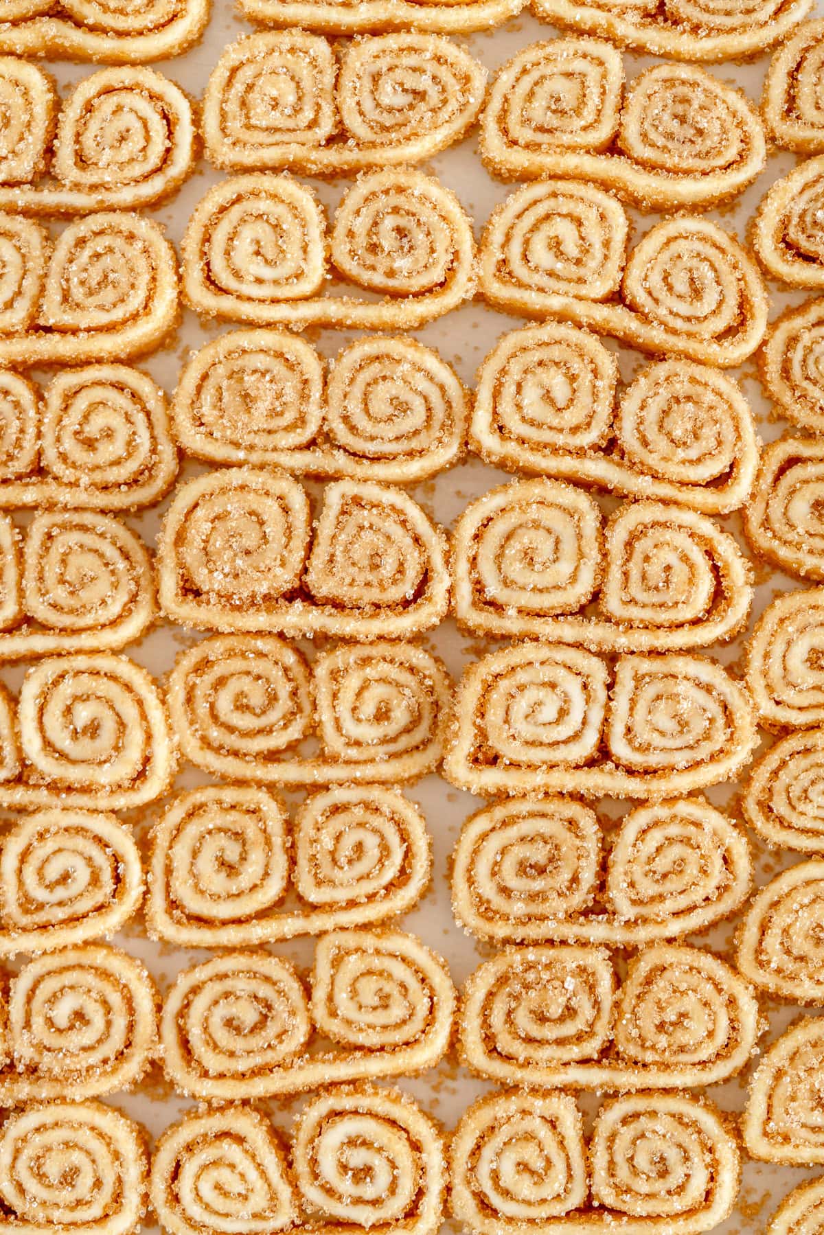close up image of palmiers
