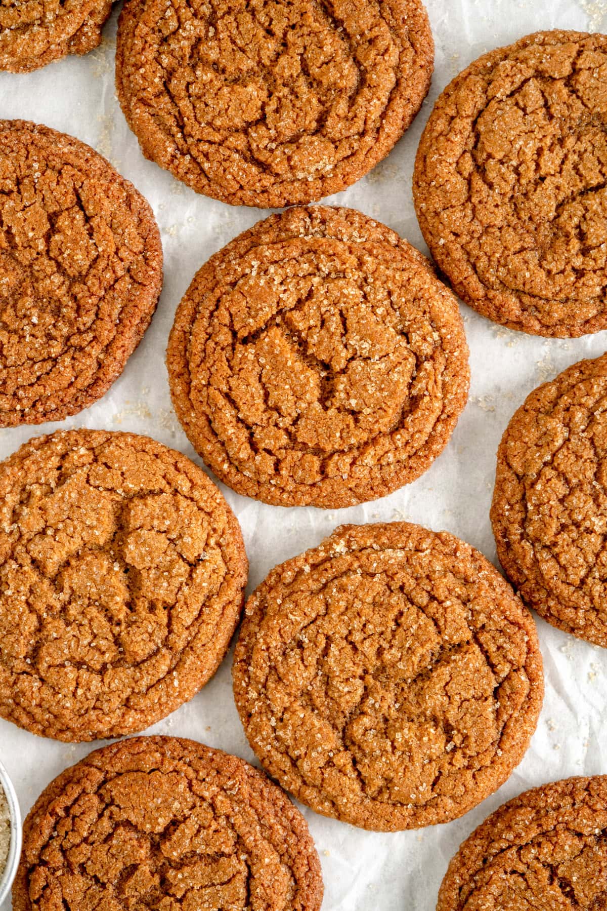 gingersnap cookies