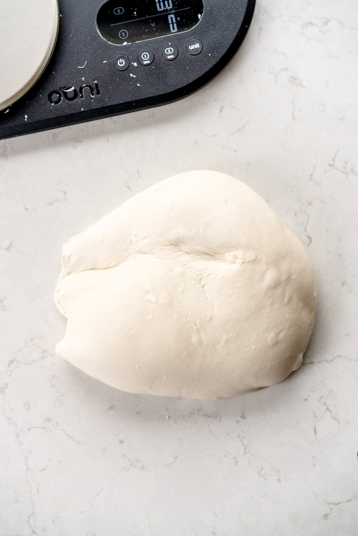 dough after first rise