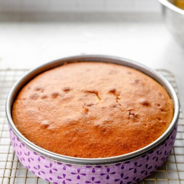 cake pan with bake even strip
