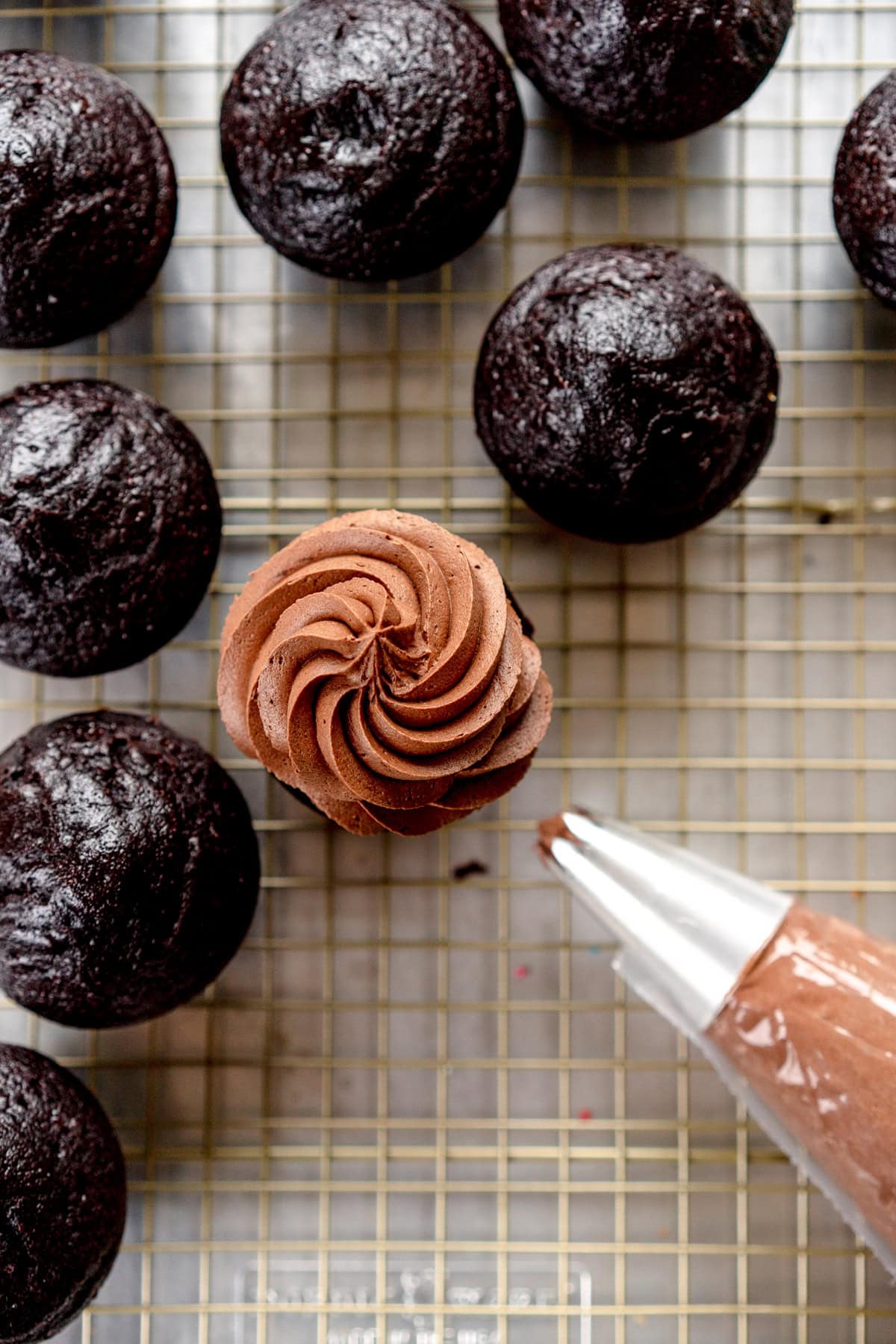 chocolate buttercream piped on cupcake
