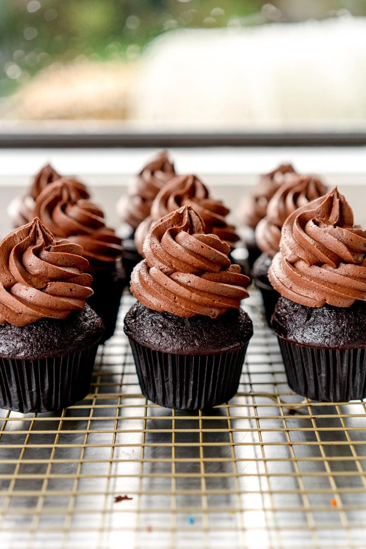 cupcakes with a swirl of buttercream
